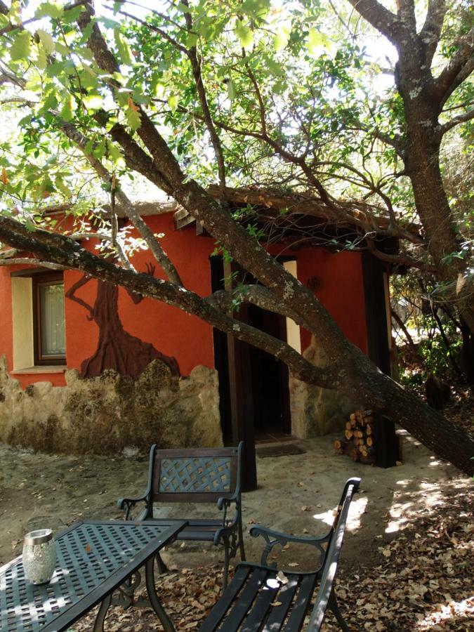 Apartamentos Rurales Ecopangea Valverde de la Vera Exterior photo