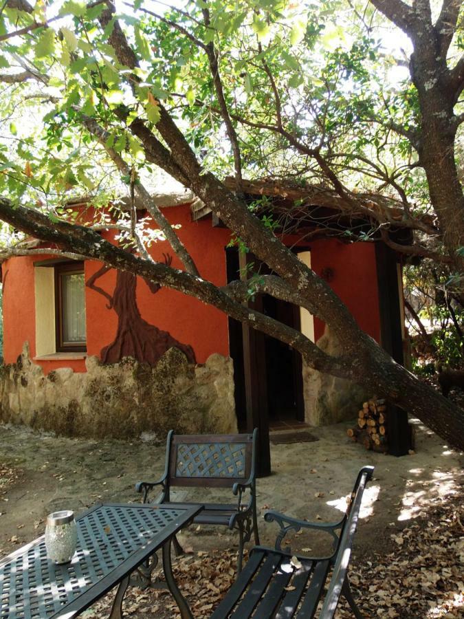 Apartamentos Rurales Ecopangea Valverde de la Vera Exterior photo